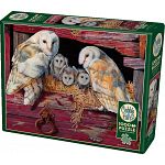 Barn Owls