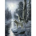Wolves By Moonlight