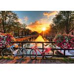 Bicycles In Amsterdam