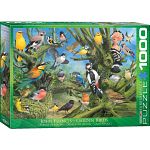 Garden Birds