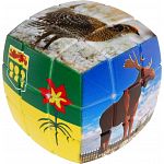 V-CUBE 3 Pillow (3x3x3): Saskatchewan