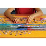 Smart Puzzle Roll & Go