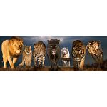 Big Cats: Panoramic Puzzle image