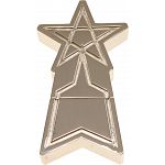 SSSP Emblem Shooting Star