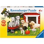 Puppy Party - 60 XXL Pieces