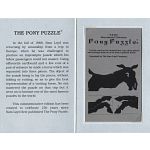 The Wonderful Chinese Pony Puzzle - 150 Years Commemorative