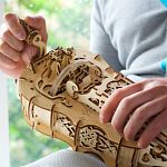 Mechanical Model - Hurdy-Gurdy