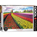 Tulip Fields