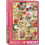 Roses: Seed Catalogue Collection
