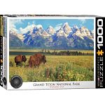 Grand Teton National Park