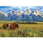 Grand Teton National Park