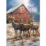 Three Kings