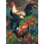 Roosters