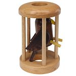 Brown Eagle in a Cage