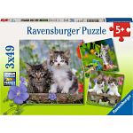 Tiger Kittens - 3 x 49 piece puzzles image