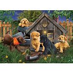 In The Doghouse