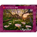 Magic Forests: Calla Clearing