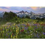 AVH Edition: Tatoosh Mountains