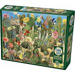 Cactus Garden