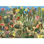 Cactus Garden