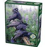 Raven Rendezvous