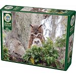Great Horned Owl