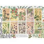 Botanicals By Verneuil