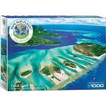 Coral Reef