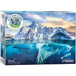 Arctic
