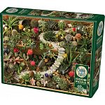 Succulent Garden