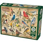 Popular Backyard Wild Birds of North America