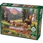 Mountain Thunder