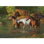 Horse Pond - Large Piece