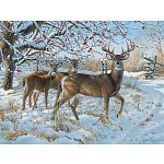 Winter Deer - Large Piece