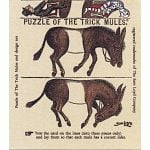 Puzzle of the Trick Mules