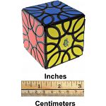 Sunflower Cube - Black Body