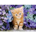 Ginger Cat - Rectangle Box image