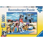 No Dogs on the Beach - 100 XXL Pieces