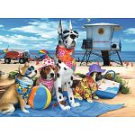 No Dogs on the Beach - 100 XXL Pieces