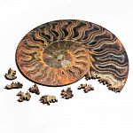 Ammonite Wooden Jigsaw Puzzle