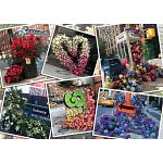 NYC Flower Flash