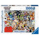Warner Bros: Looney Tunes Challenge