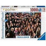 Harry Potter Challenge