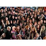 Harry Potter Challenge