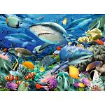 Shark Reef - 100 XXL Pieces