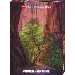 Power of Nature: Singing Canyon