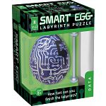 Smart Egg Labyrinth Puzzle - Data