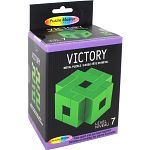 .Level 7 - a set of 6 Puzzle Master Metal Puzzles