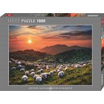AVH Edition: Sheep and Volcanoes