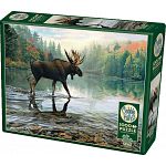 Moose Crossing